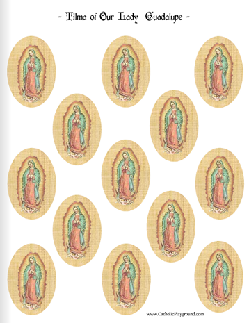 our lady of guadalupe cookies